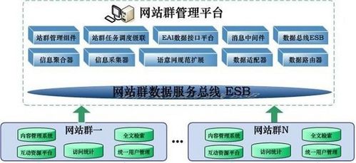 SEO站群如何进行站群建设