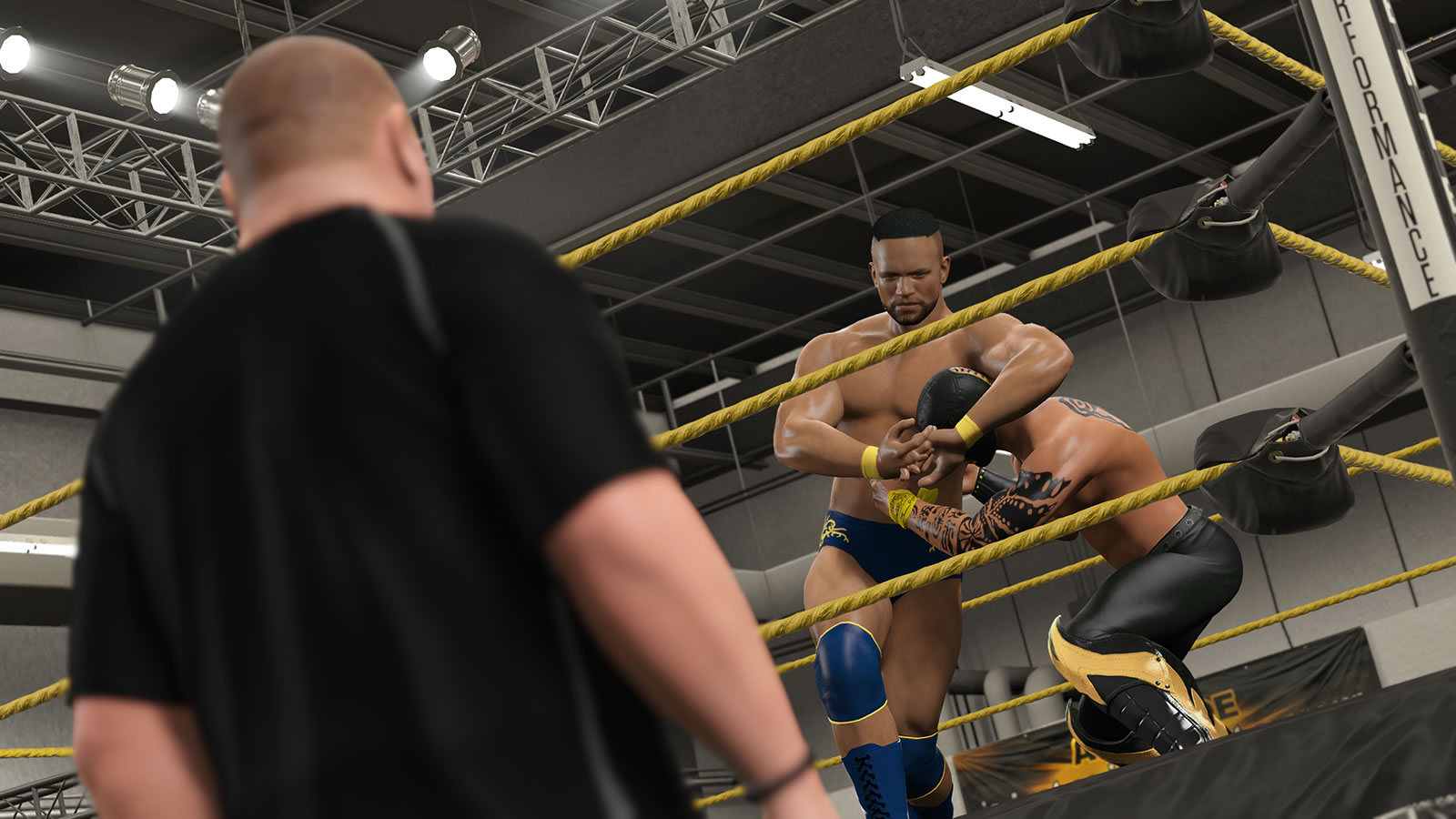 WWE2K15五项修改器