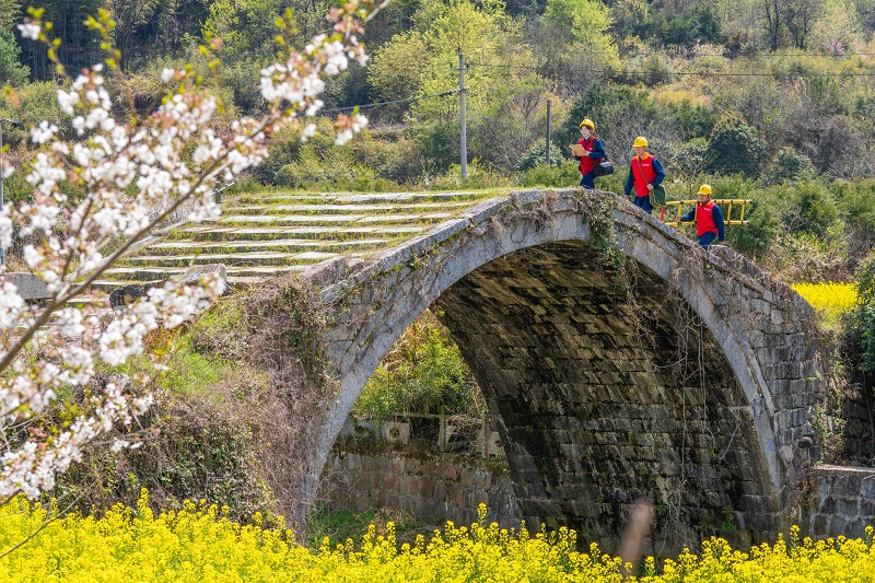 公司2025年第二季度重点工作研讨班举办