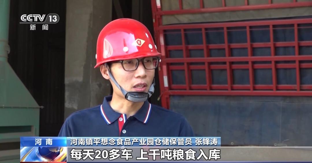 山东等地集中上市!夏粮收购量突破1000万吨