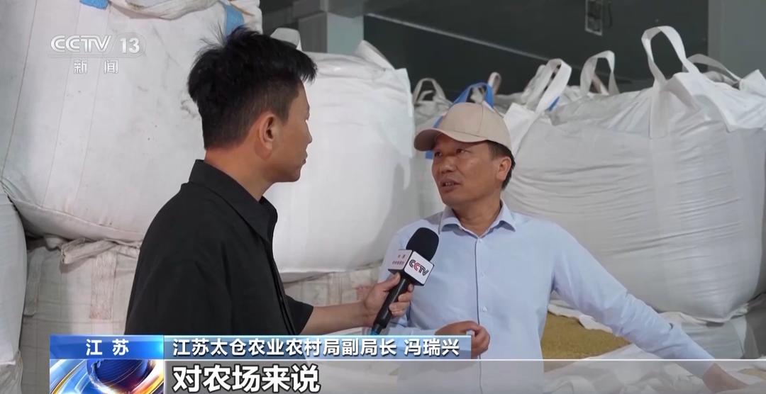 山东等地集中上市!夏粮收购量突破1000万吨