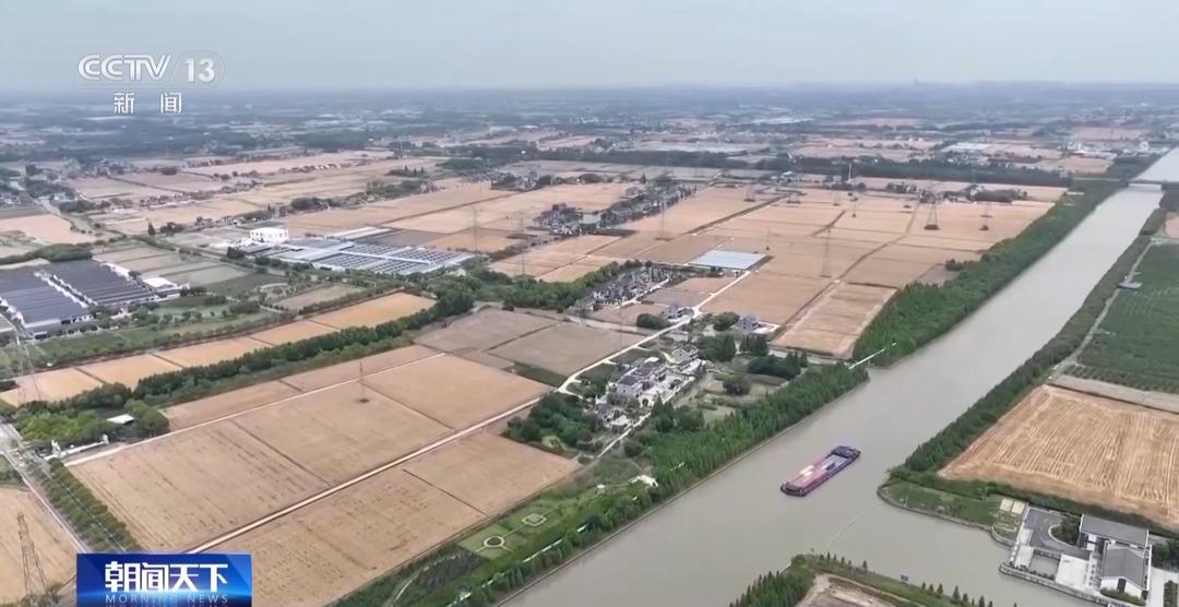 山东等地集中上市!夏粮收购量突破1000万吨