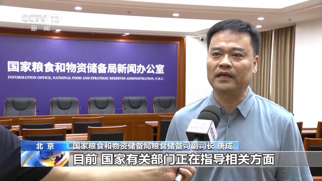 山东等地集中上市!夏粮收购量突破1000万吨