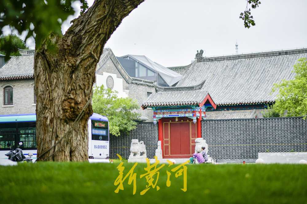 大明湖透绿后牵手明府城，深藏园中古树露全貌