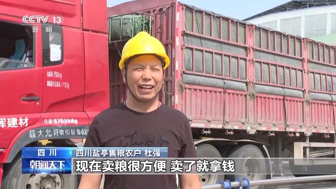 山东等地集中上市!夏粮收购量突破1000万吨