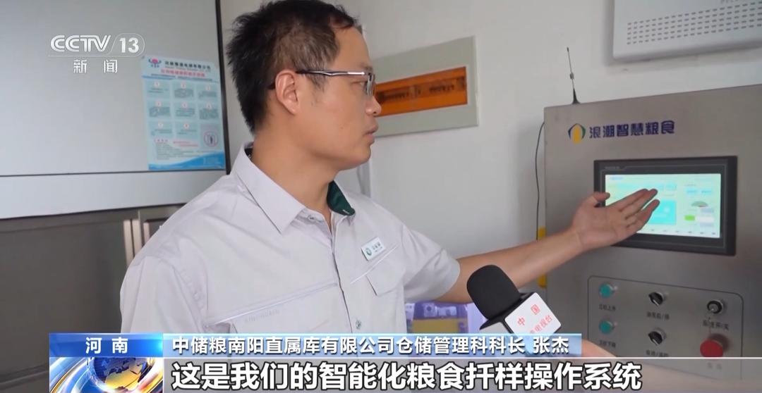 山东等地集中上市!夏粮收购量突破1000万吨