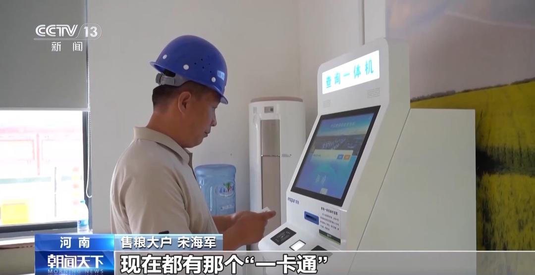 山东等地集中上市!夏粮收购量突破1000万吨