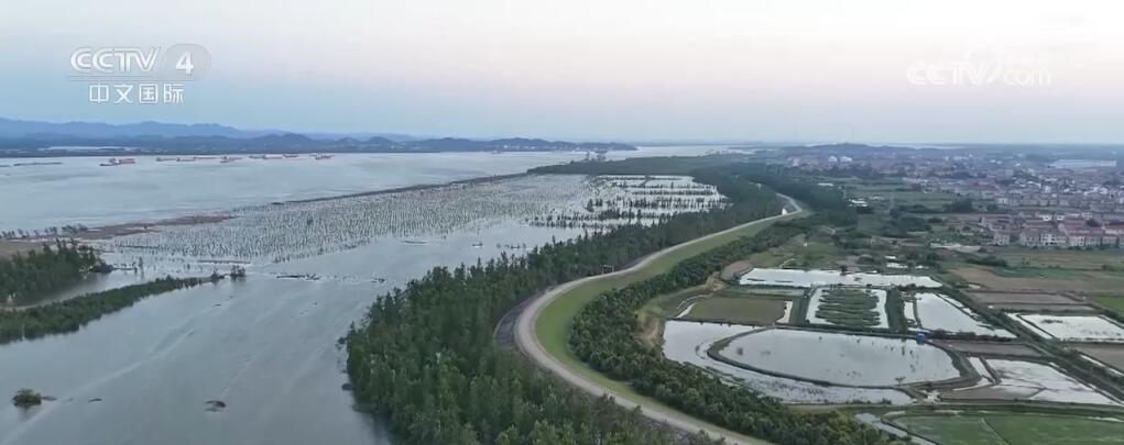 南方多地强降雨持续 如何有力应对“七下八上”防汛关键期？