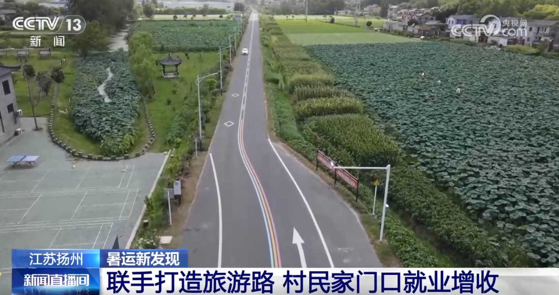 公路升级改造、服务区变景区 交通新体验、新活力绘就旅游新“途”景