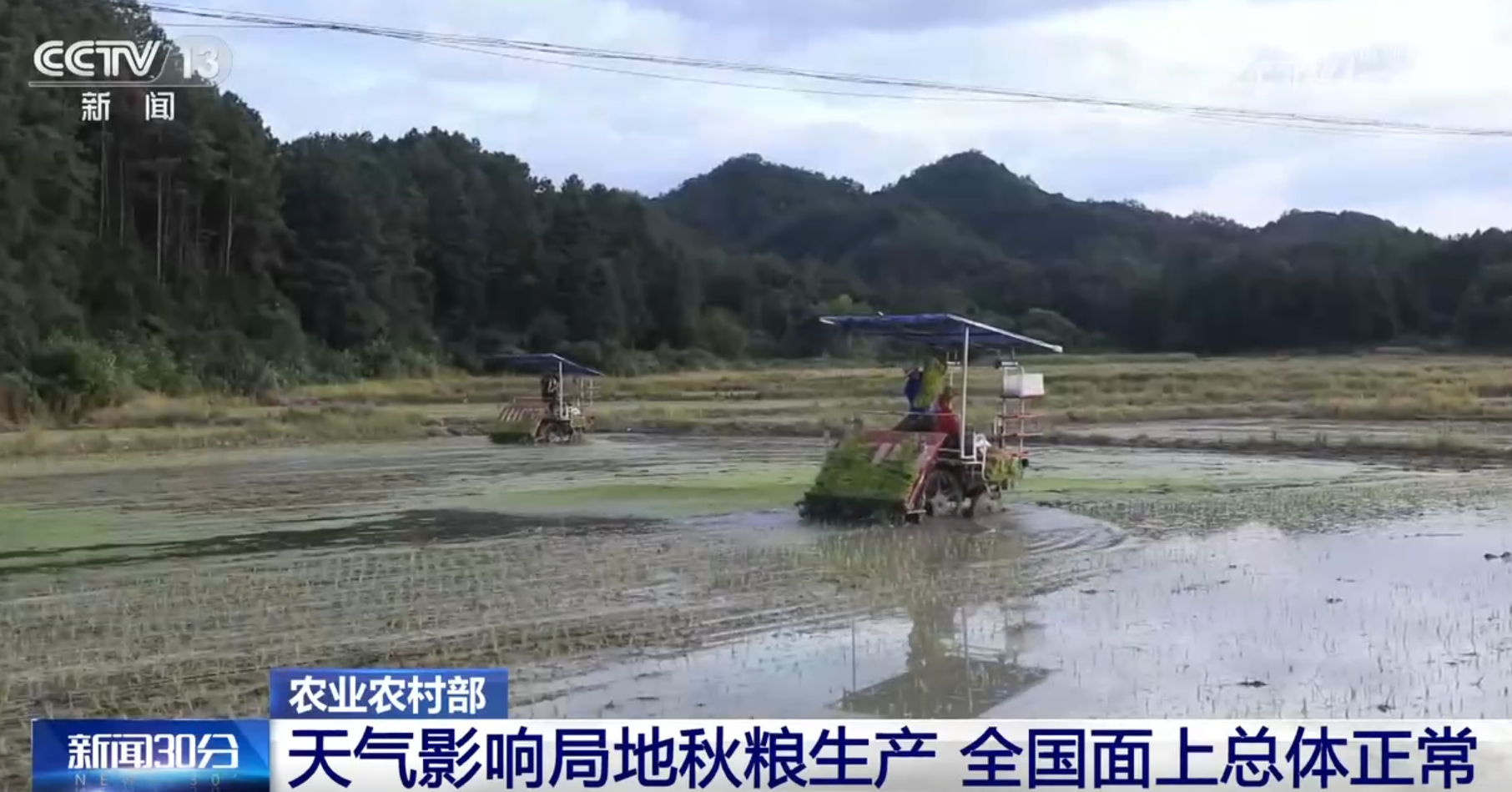 我国秋粮面积稳中有增、长势总体正常 丰收在望