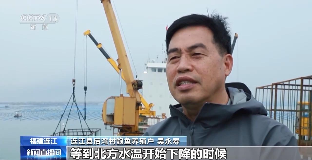 鲍鱼也怕热？连江2万吨鲍鱼开启北上“度夏”模式