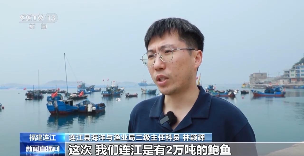 鲍鱼也怕热？连江2万吨鲍鱼开启北上“度夏”模式