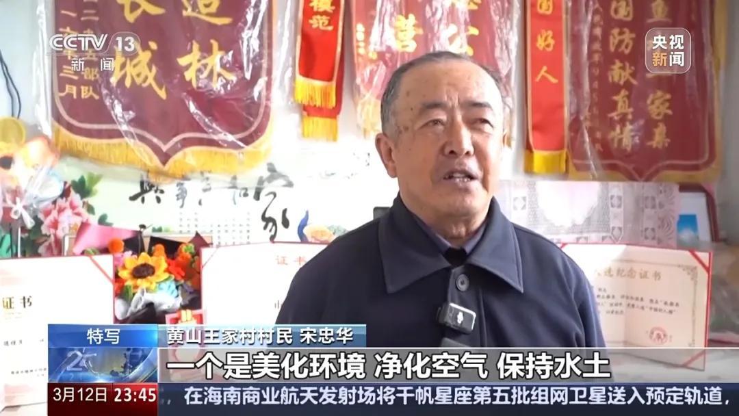 山东大爷无偿捐赠价值近百万红松树
