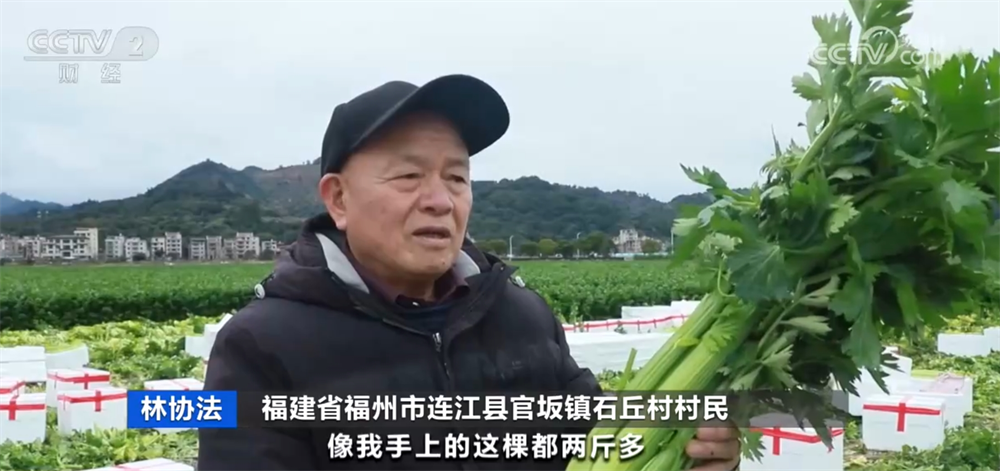 各地抢抓农时 春耕备耕一派火热绘就好“丰”景 各地抢抓农时 春耕备耕一派火热绘就好“丰”景