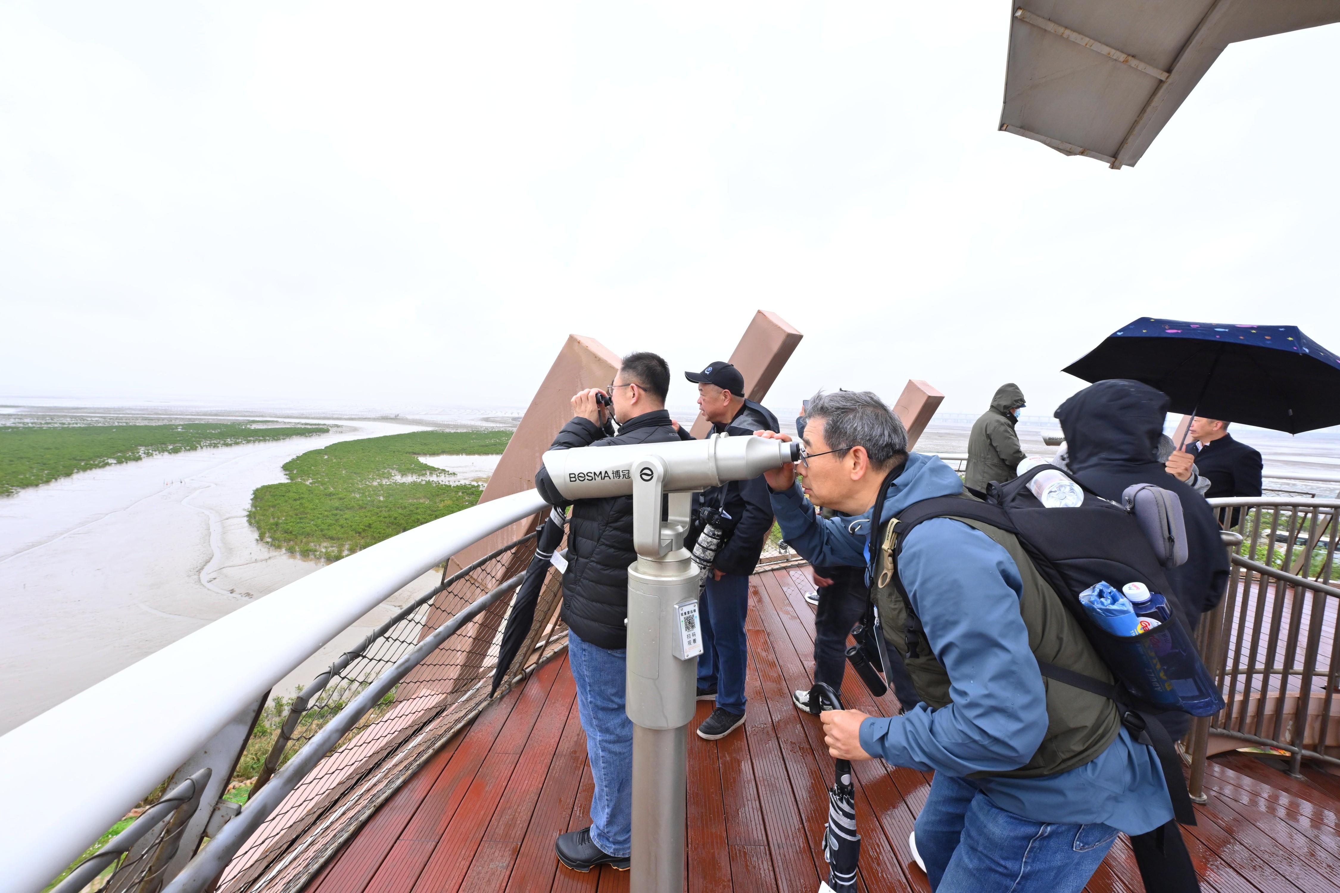 福建越冬黑脸琵鹭数量比20年前增加6倍