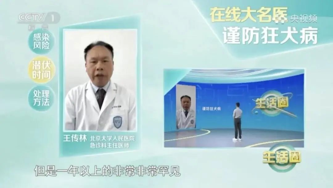被狗咬未就医 3个月后发病去世