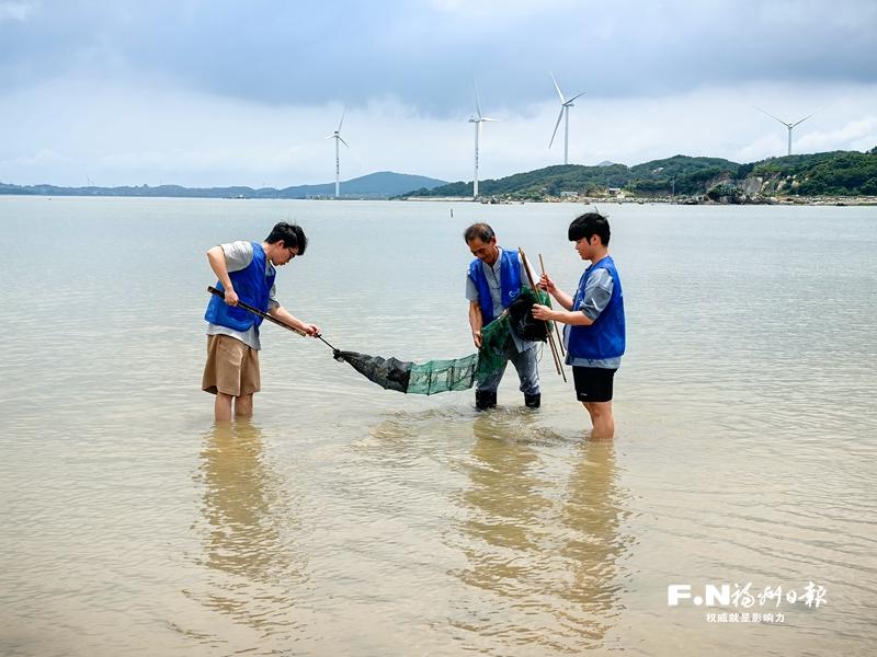 中国鲎海洋公益保护地在福清揭牌