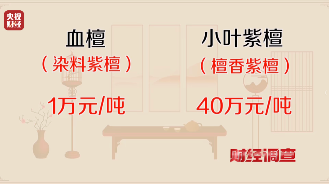 情况通报！福建仙游成立联合调查组