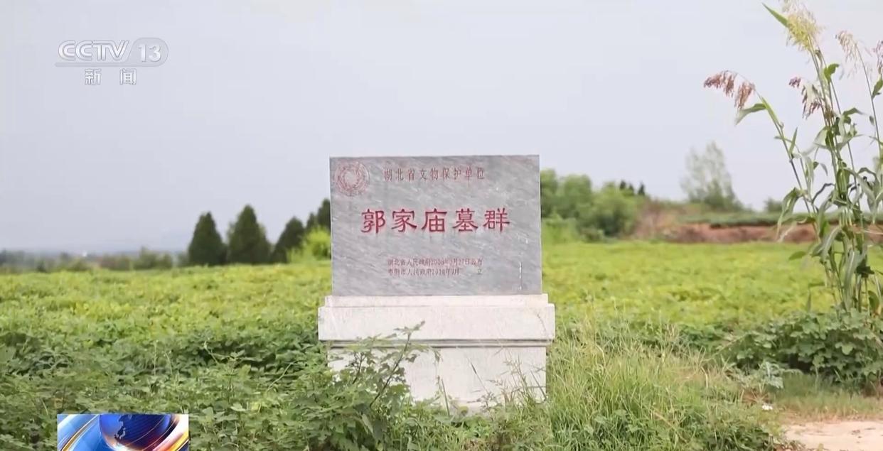 男子看小说学盗墓挖走20余件国宝