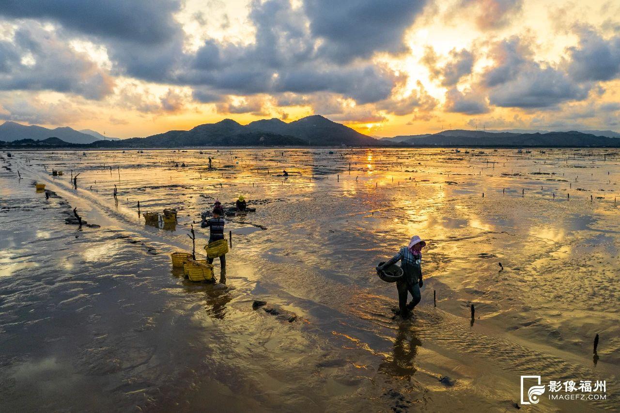 来福州 观沧海