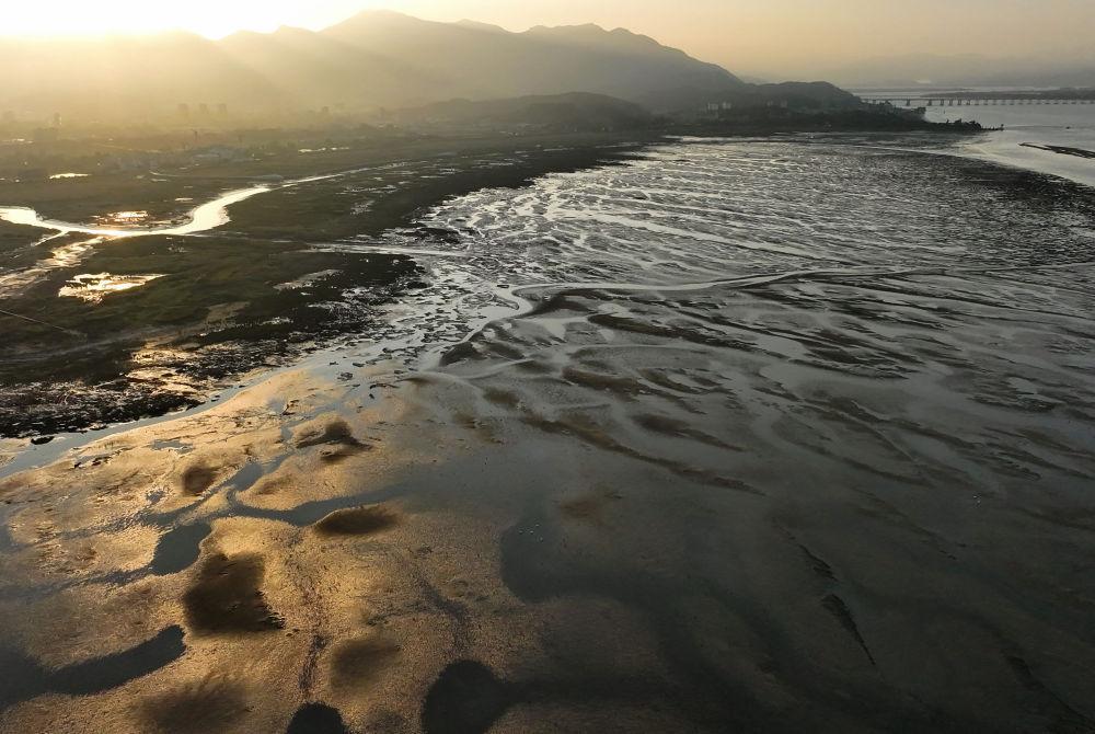 水韵福州：一座城市与湿地的诗意共生