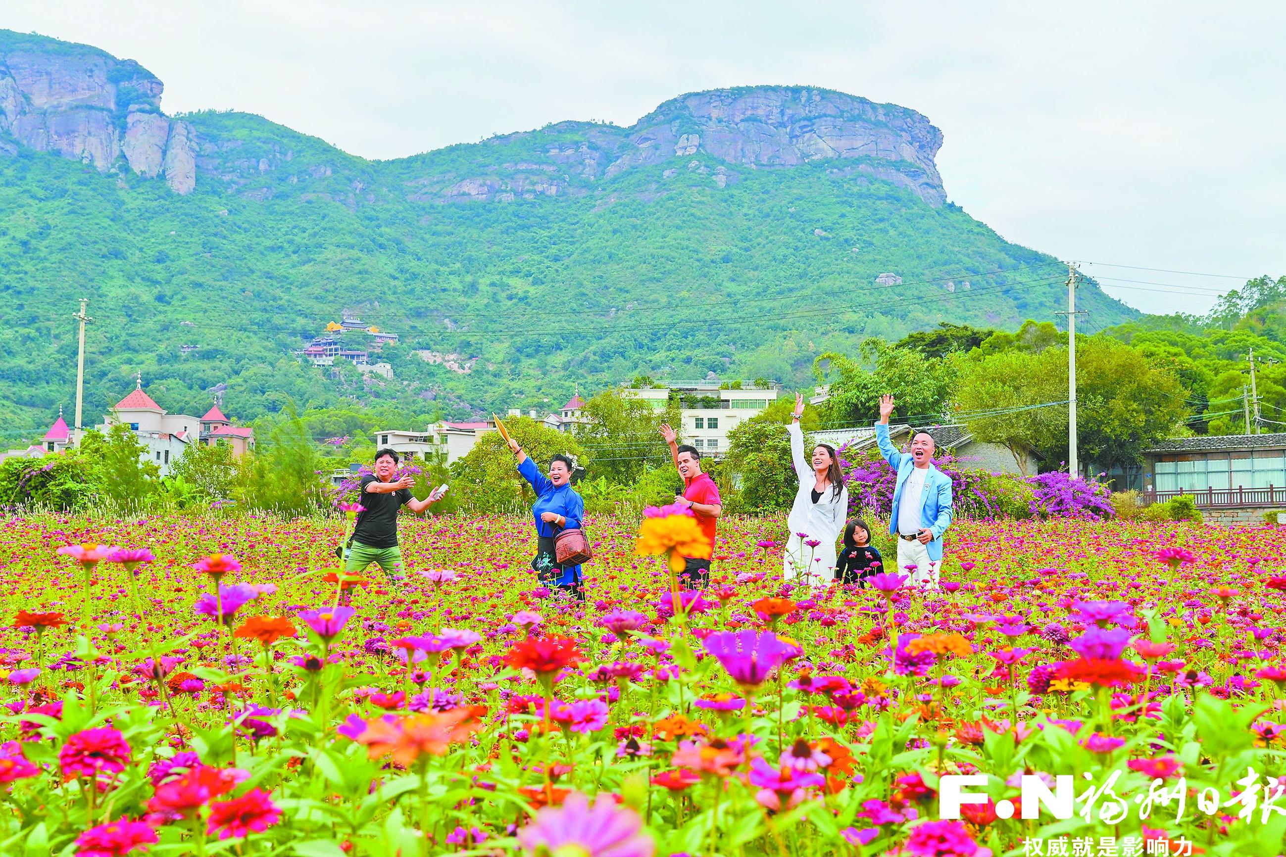 福州五虎山下七彩花海上线 超过13000平方米 福州五虎山下七彩花海上线 超过13000平方米