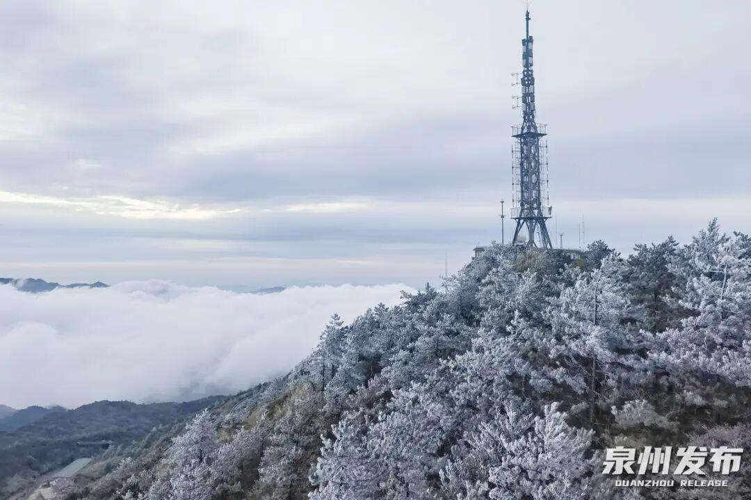 断崖式降温!最低3℃!福建一地迎来首场雾凇 断崖式降温!最低3℃!福建一地迎来首场雾凇