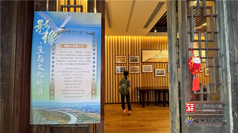 “神话之鸟”飞进三坊七巷 闽台携手亮出湿地保护“答卷”