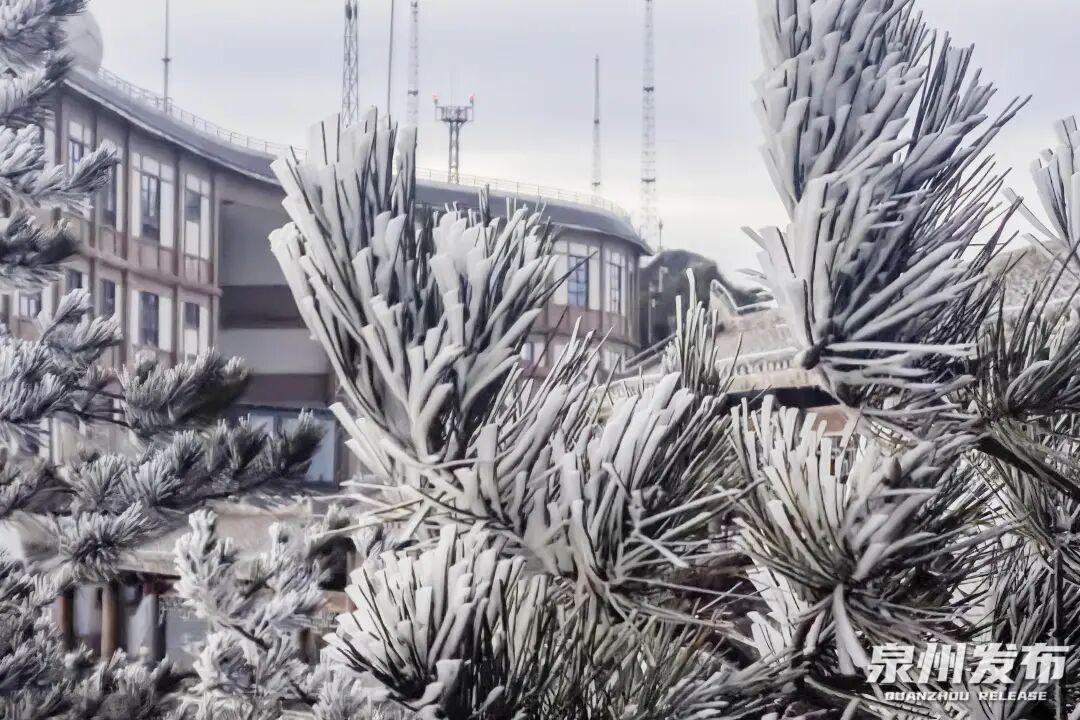 断崖式降温!最低3℃!福建一地迎来首场雾凇 断崖式降温!最低3℃!福建一地迎来首场雾凇