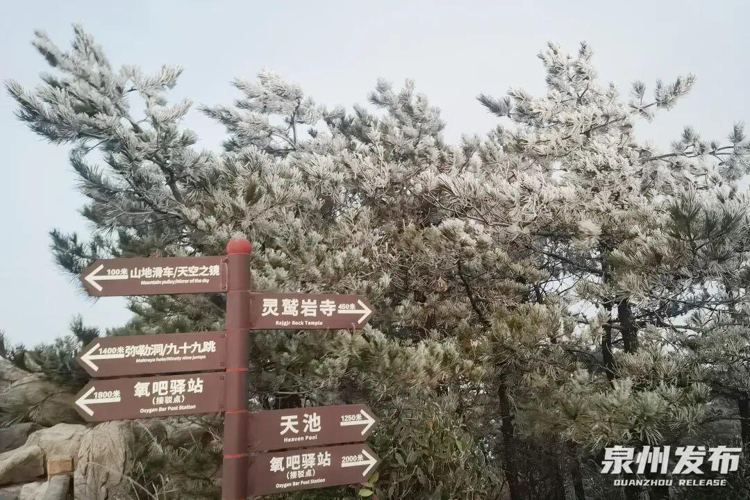 断崖式降温!最低3℃!福建一地迎来首场雾凇 断崖式降温!最低3℃!福建一地迎来首场雾凇