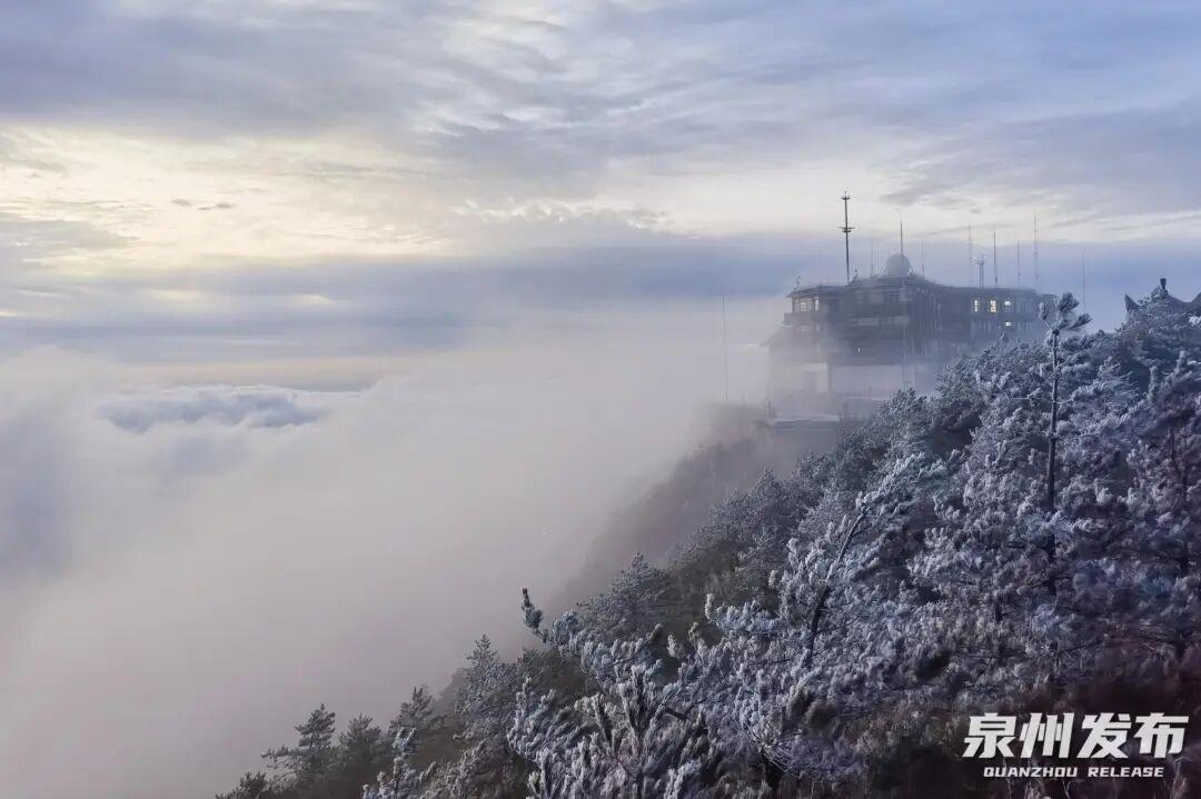 断崖式降温!最低3℃!福建一地迎来首场雾凇 断崖式降温!最低3℃!福建一地迎来首场雾凇