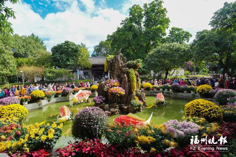 西湖菊展7日盛大启幕 万菊争妍醉秋光
