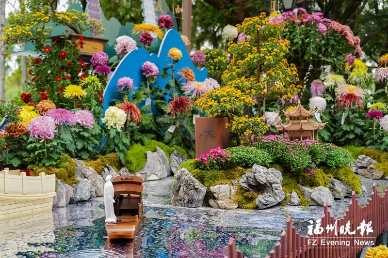 西湖菊展7日盛大启幕 万菊争妍醉秋光