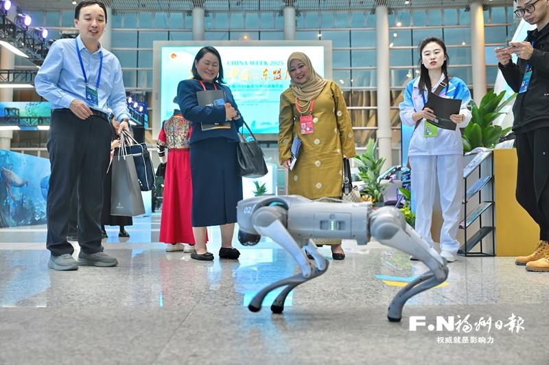 “2025中国—东盟周”落幕 携手谱写区域合作新篇章