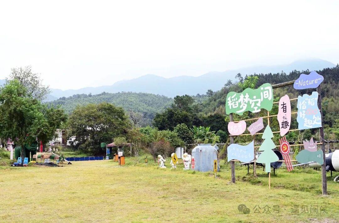 县在发生｜在稻田里开唱！闽侯这场稻田音乐会大有看头！
