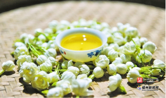 有声荐读｜冰心钟爱福州茉莉花茶