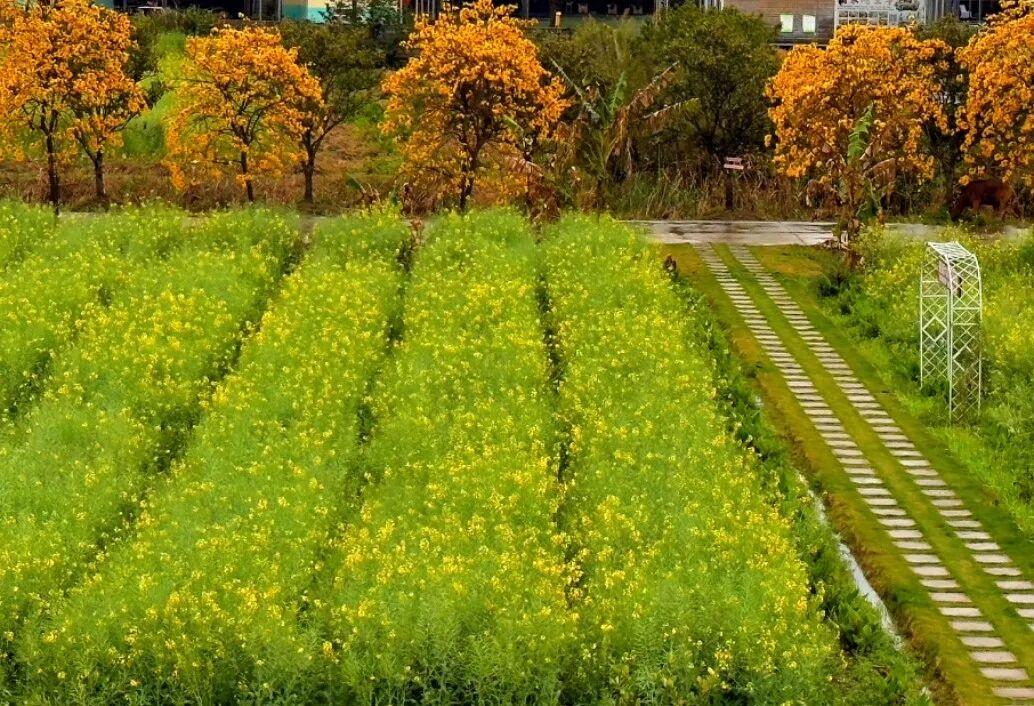 休闲农业精品线路｜福州市长乐区：闽江口沿岸休闲游