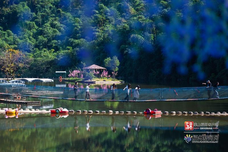 县在发生|12年磨一剑!这个“宝藏农庄”,让乡村变成福州人打卡新宠 县在发生|12年磨一剑!这个“宝藏农庄”,让乡村变成福州人打卡新宠