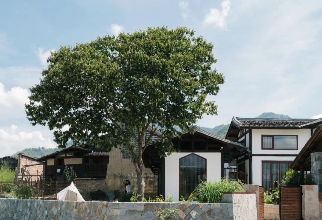 休闲农业精品线路 | 福州市永泰县:山水共融 美食流香 休闲农业精品线路 | 福州市永泰县:山水共融 美食流香