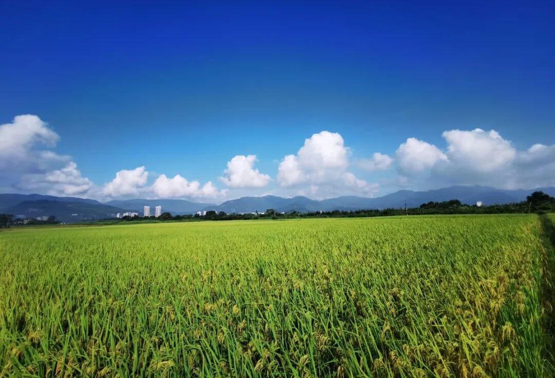 休闲农业精品线路｜福州市长乐区：闽江口沿岸休闲游