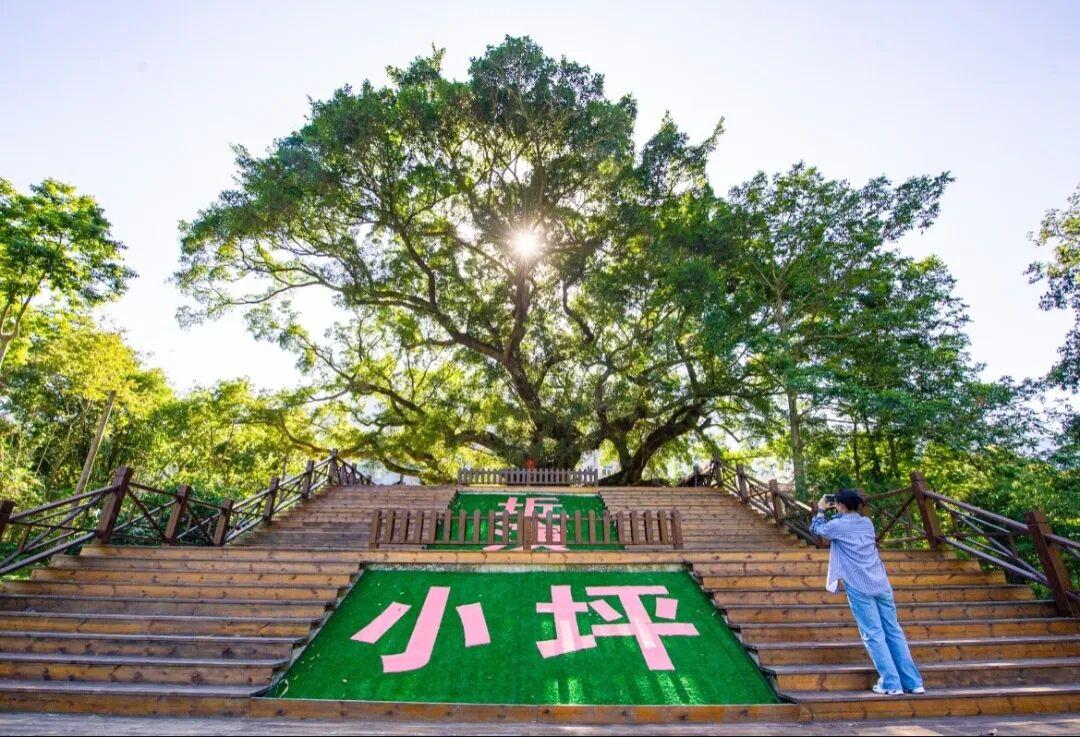 休闲农业精品线路 | 福州市永泰县:山水共融 美食流香 休闲农业精品线路 | 福州市永泰县:山水共融 美食流香