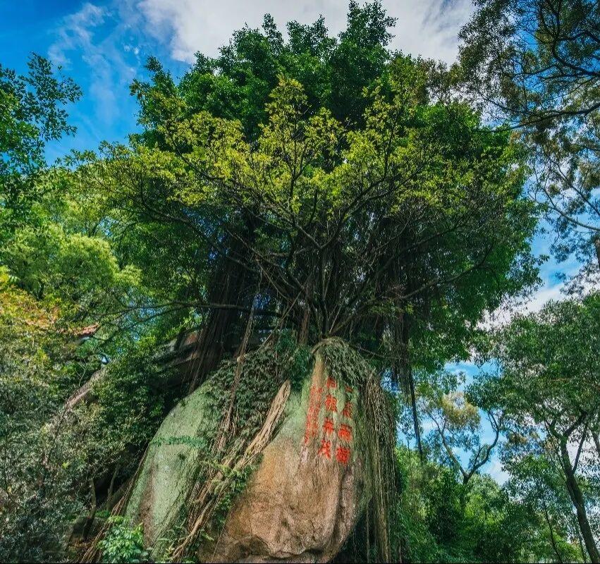休闲农业精品线路|福州市长乐区:闽江口沿岸休闲游 休闲农业精品线路|福州市长乐区:闽江口沿岸休闲游