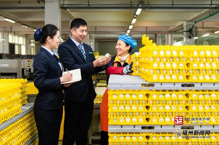 “新”中有数|福州小微企业融资 “开挂”!专利能换钱、乡村贷款快 “新”中有数|福州小微企业融资 “开挂”!专利能换钱、乡村贷款快