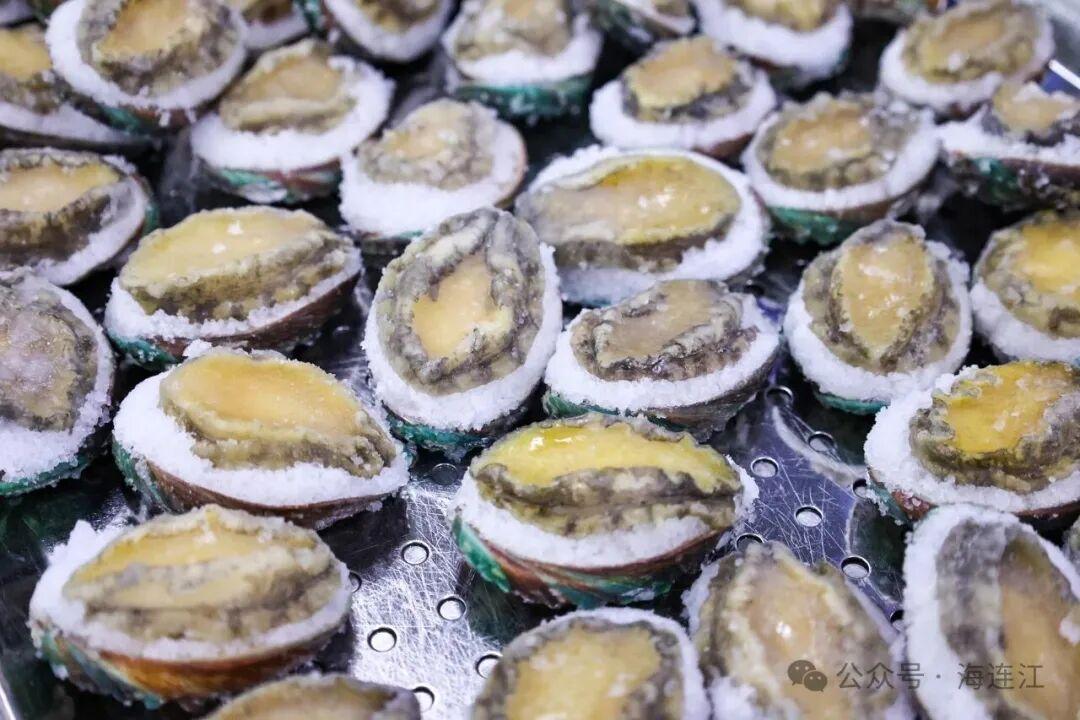 新春“开门红”,连江企业开足马力赶制“鲍”款! 新春“开门红”,连江企业开足马力赶制“鲍”款!