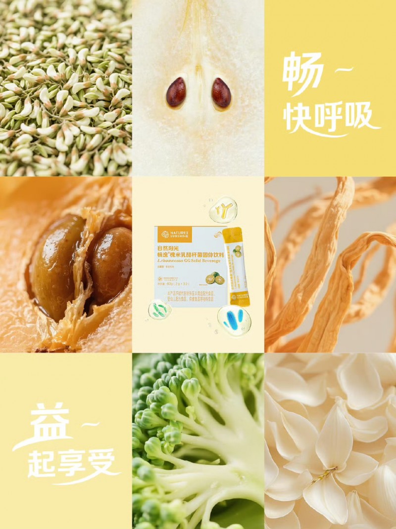 肠肺协同，共护健康：自然阳光畅逸槐米乳酪杆菌以三重机制应对呼吸挑战