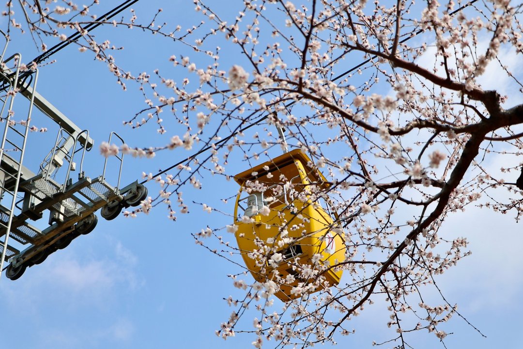 济南千佛山：乱花渐欲迷人眼