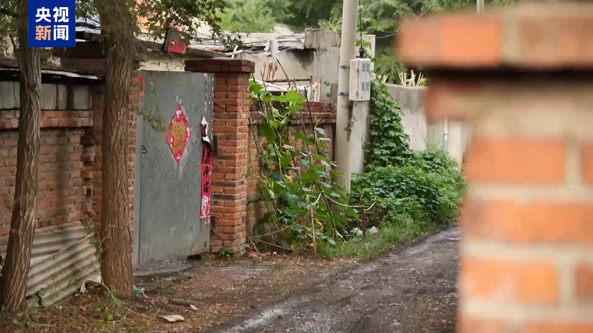 寻子17年终团聚 科技赋能照亮团圆路