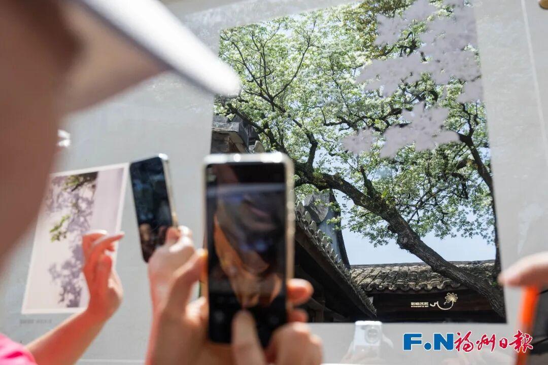 今天，就在福州三坊七巷！一场“花事”重磅启幕！