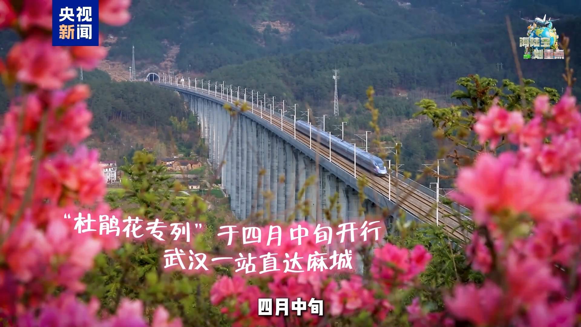 一起去坐开往春天的列车 这份清明赏花攻略请收好 一起去坐开往春天的列车 这份清明赏花攻略请收好