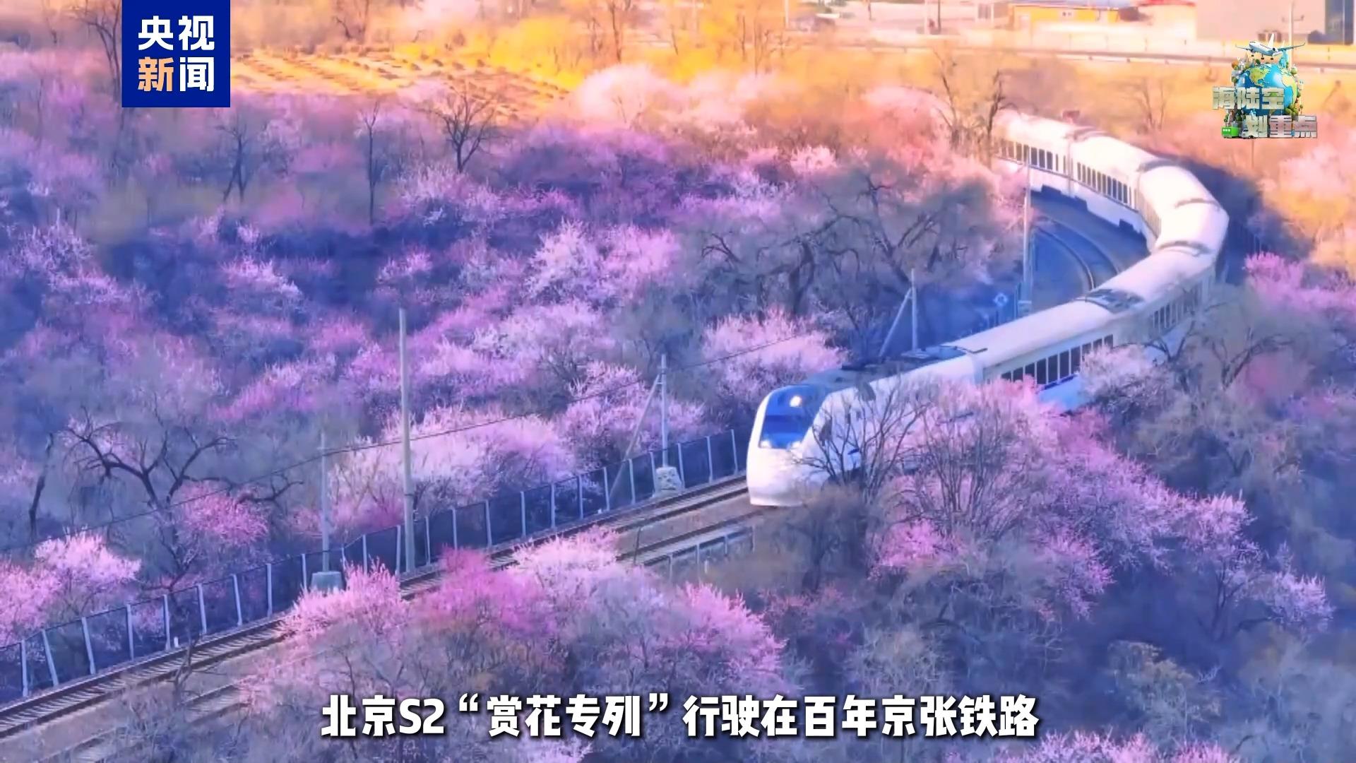 一起去坐开往春天的列车 这份清明赏花攻略请收好 一起去坐开往春天的列车 这份清明赏花攻略请收好